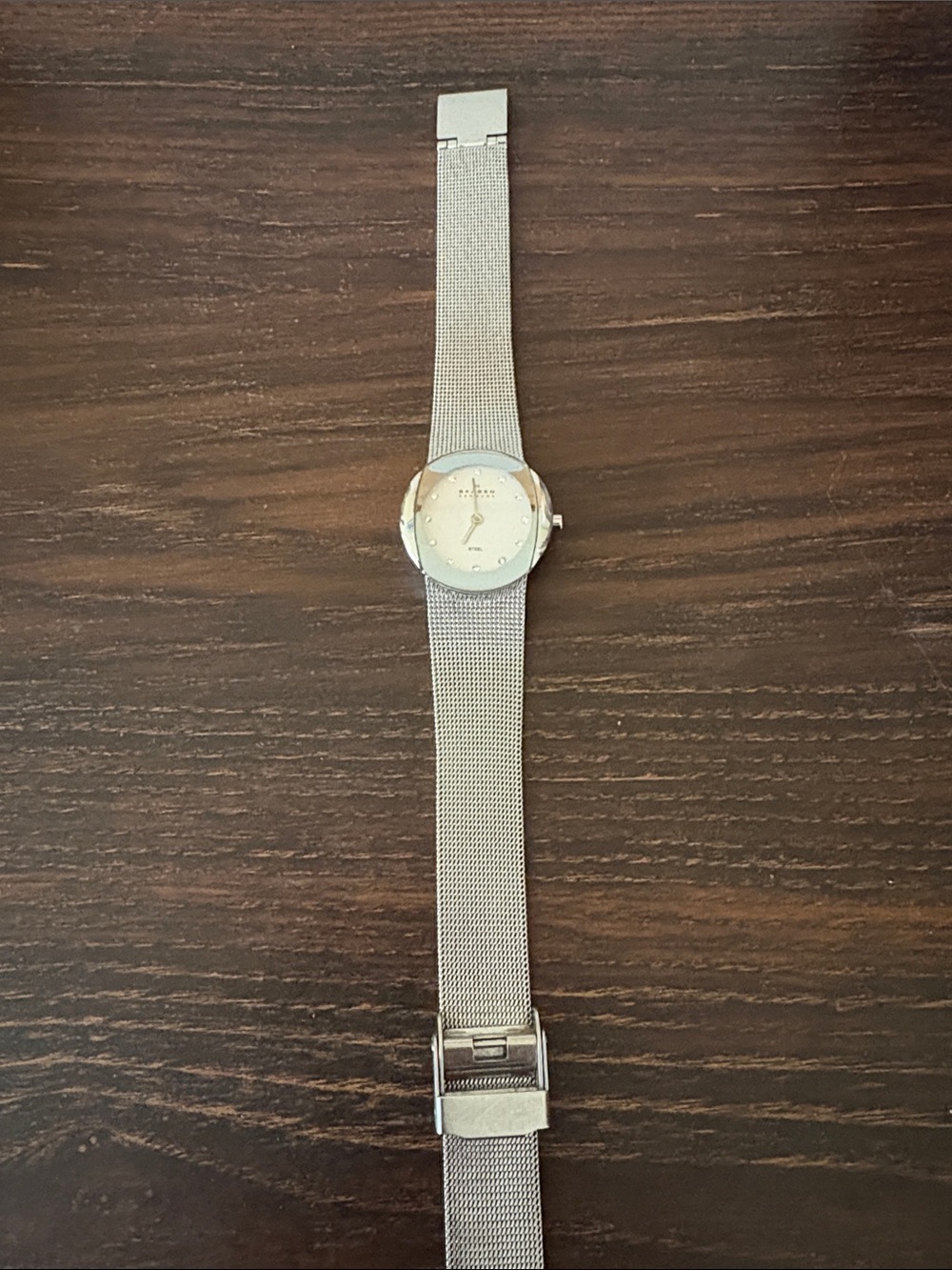 Skagen Stainless Steel Mesh Bracelet Watch